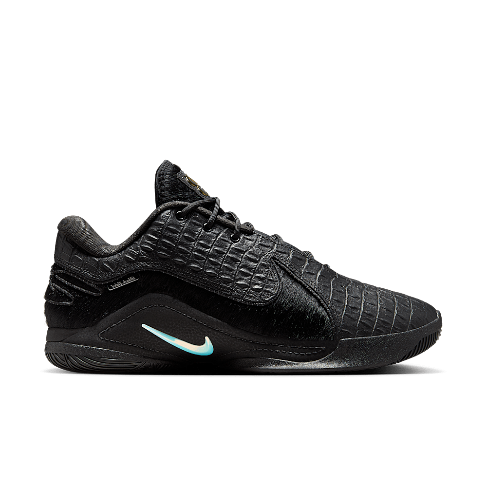 Nike LeBron 22 Black Label